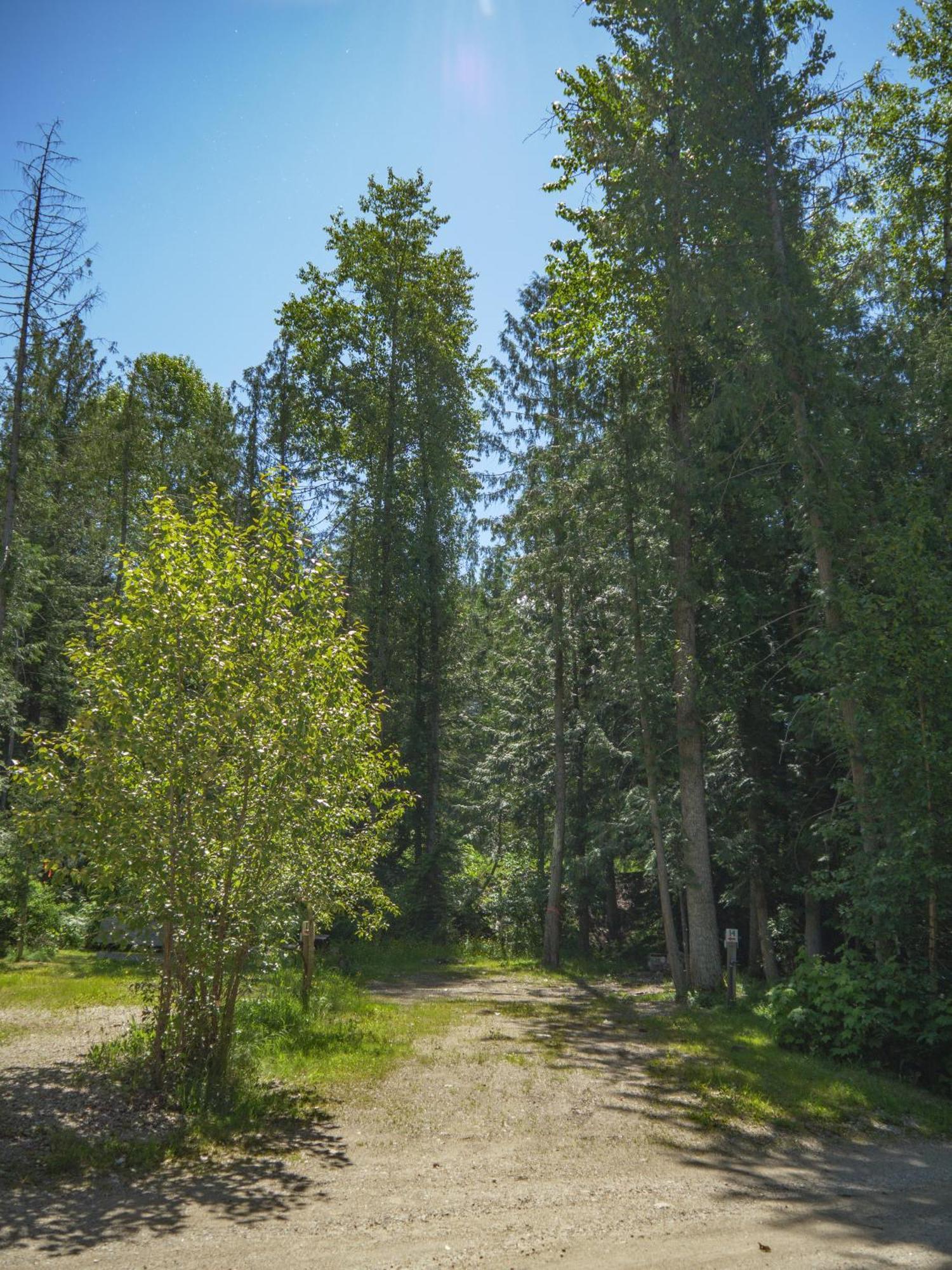 Noah'S Ark Campground Revelstoke Eksteriør bilde