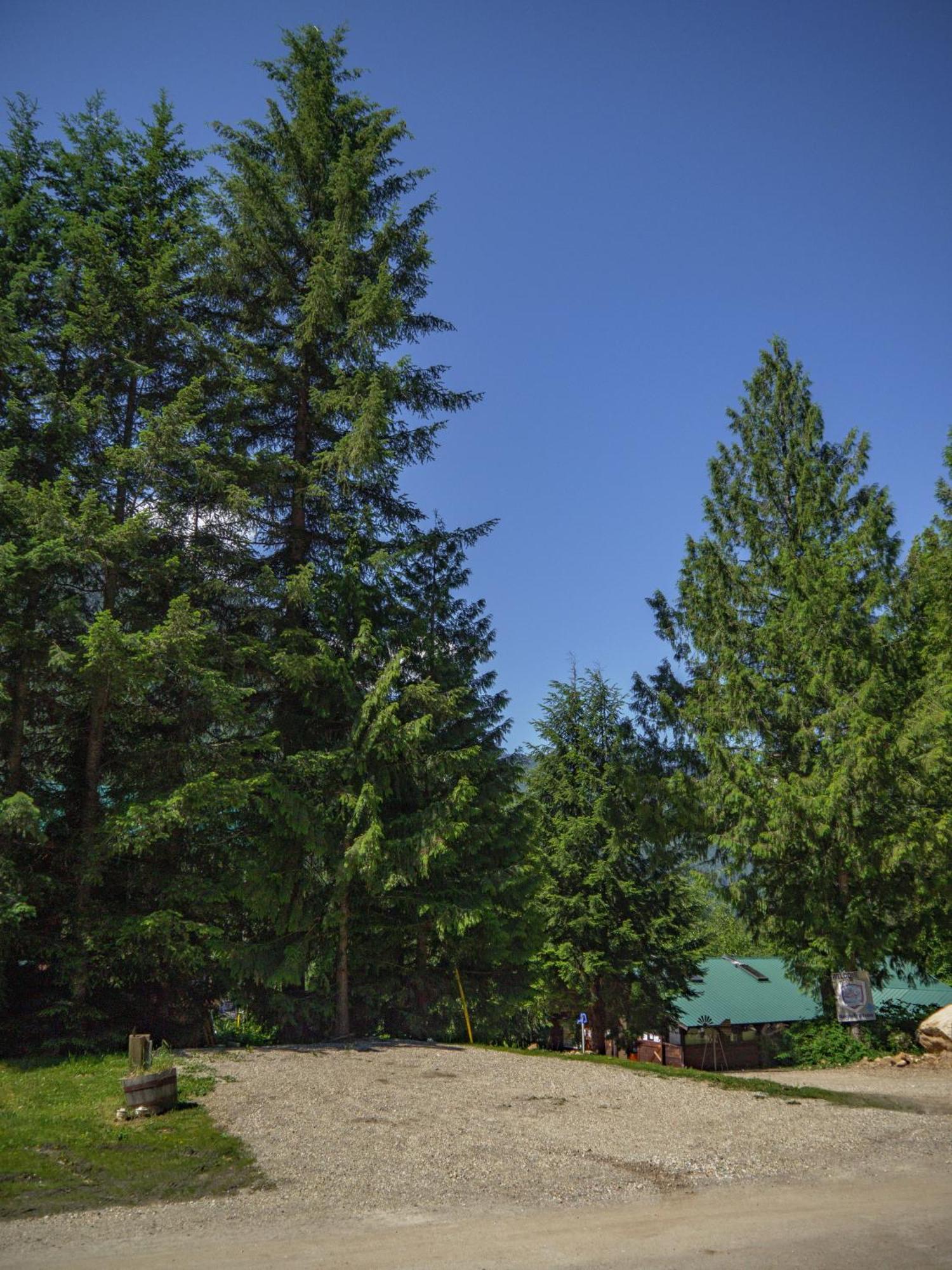 Noah'S Ark Campground Revelstoke Eksteriør bilde
